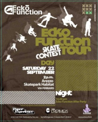 ecko-function skate